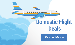 domestic-flights